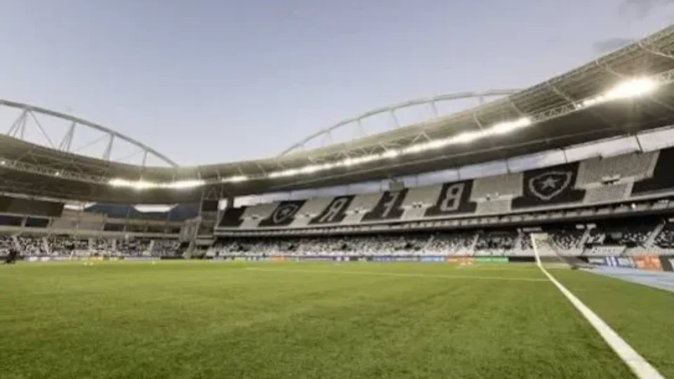 Botafogo x Palmeiras: onde assistir ao vivo, horário e escalações pelo Brasileirão