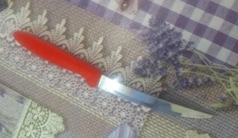 Adolescente de 13 anos esfaqueia colega durante briga em escola de SC