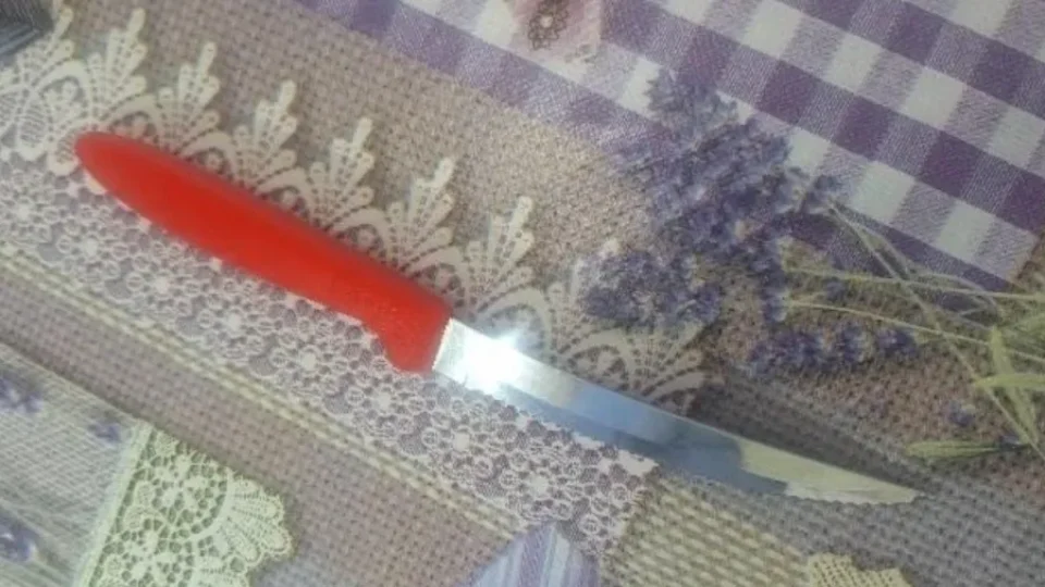 Adolescente de 13 anos esfaqueia colega durante briga em escola de SC