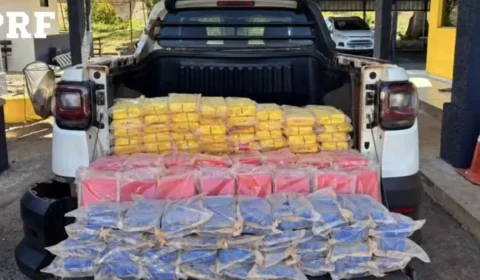 Motorista é preso com 209 kg de cocaína e pasta base em caminhonete no Tocantins