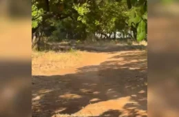 Mulher é esfaqueada ao reagir a tentativa de estupro em Palmas