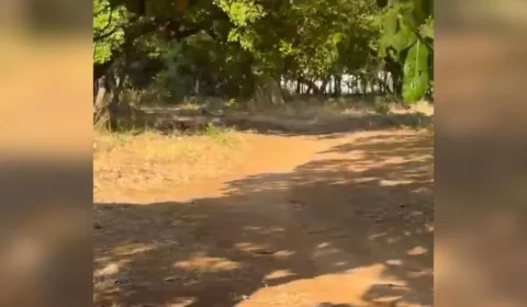 Mulher é esfaqueada ao reagir a tentativa de estupro em Palmas