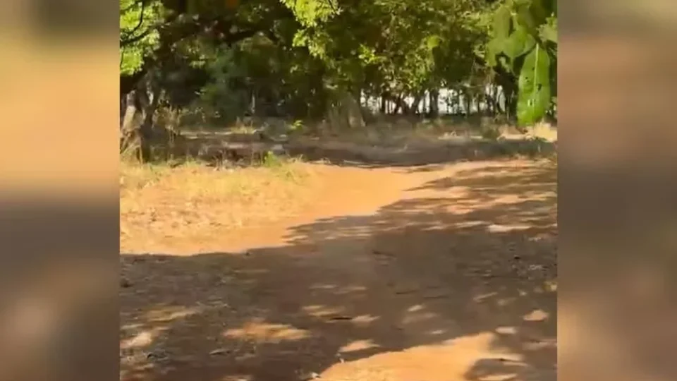 Mulher é esfaqueada ao reagir a tentativa de estupro em Palmas