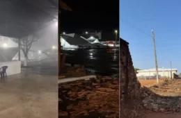 Ventos fortes derrubam tendas e árvores durante temporal em Colinas do Tocantins