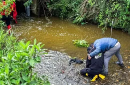 Foto registrada antes de enchente ajuda nas buscas por pai no RS