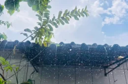 Chuva volta a Manaus após 16 dias de tempo seco e calor intenso