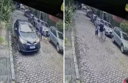 Homem é preso após agredir médica e chutar cachorras na Gávea
