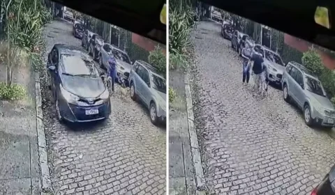 Homem é preso após agredir médica e chutar cachorras na Gávea