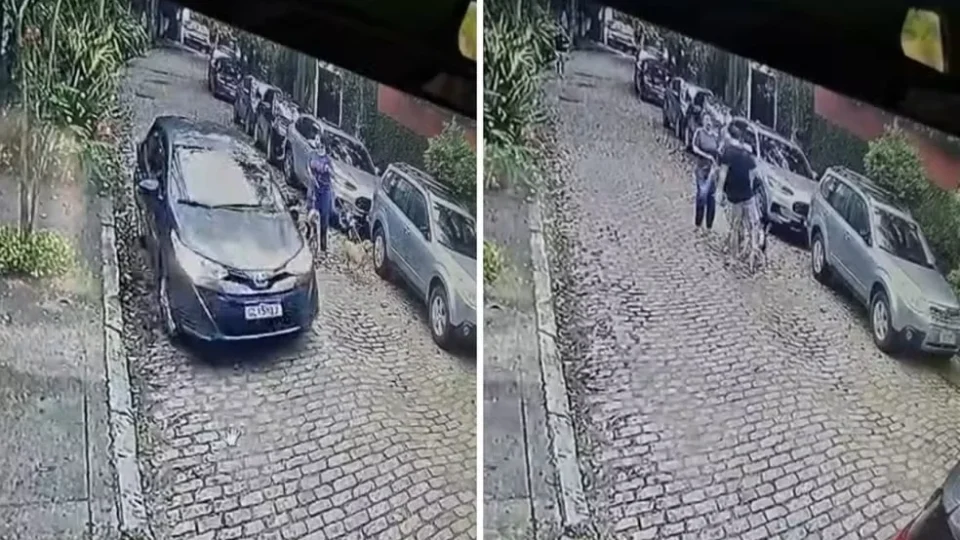 Homem é preso após agredir médica e chutar cachorras na Gávea