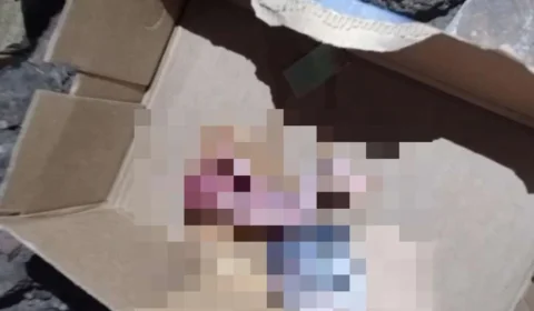 Feto é encontrado dentro de caixa em canal no bairro da Cabanagem, em Belém
