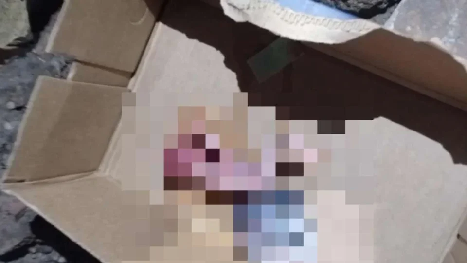 Feto é encontrado dentro de caixa em canal no bairro da Cabanagem, em Belém