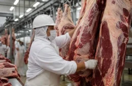 Carne bovina: setor pede período de transição para retomar exportações à União Europeia