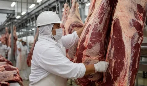 Carne bovina: setor pede período de transição para retomar exportações à União Europeia