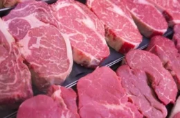 UE suspende entrada de produtos de origem animal do Brasil; setor cobra solução para preservar mercado europeu