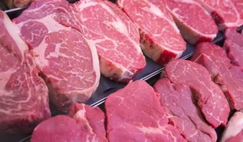 UE suspende entrada de produtos de origem animal do Brasil; setor cobra solução para preservar mercado europeu