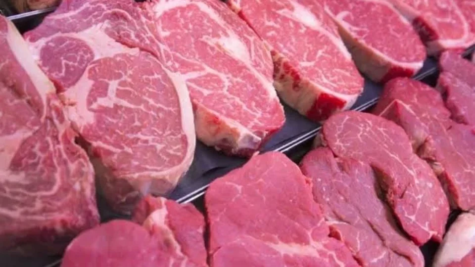 UE suspende entrada de produtos de origem animal do Brasil; setor cobra solução para preservar mercado europeu