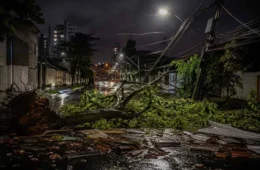 Temporal provoca estragos, derruba árvores e deixa Varginha (MG) sem energia