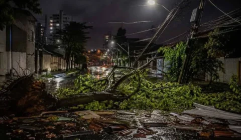 Temporal provoca estragos, derruba árvores e deixa Varginha (MG) sem energia