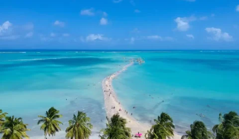 Caminho de Moisés faz mar ‘se abrir’ e revela faixa de areia de até 3 km em Maragogi