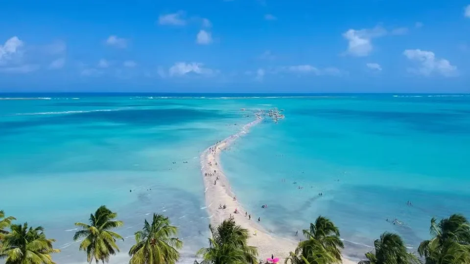 Caminho de Moisés faz mar ‘se abrir’ e revela faixa de areia de até 3 km em Maragogi
