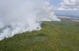 Amapá proíbe queimadas até o fim de novembro após alta nos focos de calor