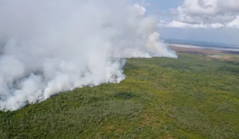 Amapá proíbe queimadas até o fim de novembro após alta nos focos de calor
