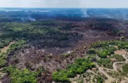 Fogo avança no interior do Amazonas e já atinge área equivalente a mais de mil campos