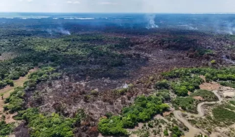Fogo avança no interior do Amazonas e já atinge área equivalente a mais de mil campos