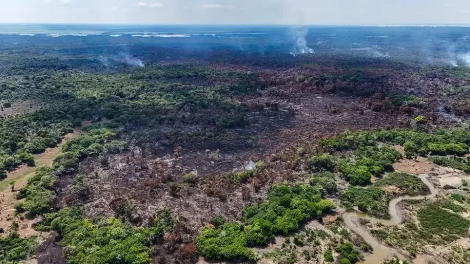 Fogo avança no interior do Amazonas e já atinge área equivalente a mais de mil campos
