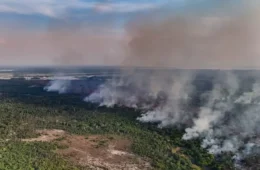 Fogo avança há uma semana e já atinge 686 hectares de mata no Amazonas