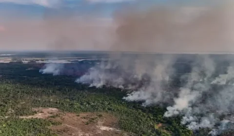 Fogo avança há uma semana e já atinge 686 hectares de mata no Amazonas