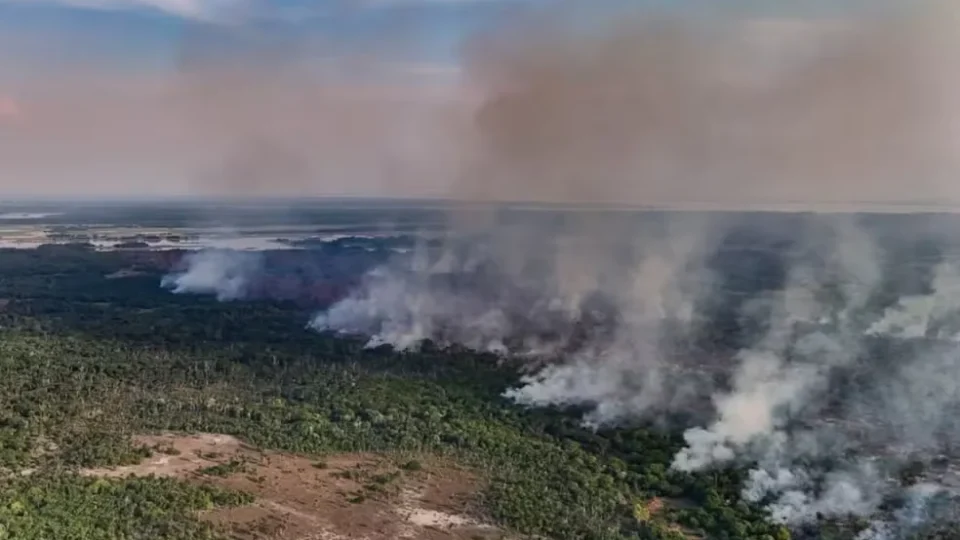 Fogo avança há uma semana e já atinge 686 hectares de mata no Amazonas