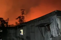 Incêndio avança em área rural de Manacapuru e moradores pedem ajuda para proteger casas e plantações