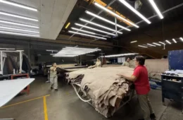 JBS e Viva unem operações e criam gigante com capacidade para processar mais de 20 milhões de couros por ano