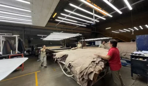JBS e Viva unem operações e criam gigante com capacidade para processar mais de 20 milhões de couros por ano