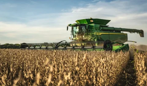 Agropecuária cresce 2,8% e é destaque no PIB brasileiro no segundo trimestre