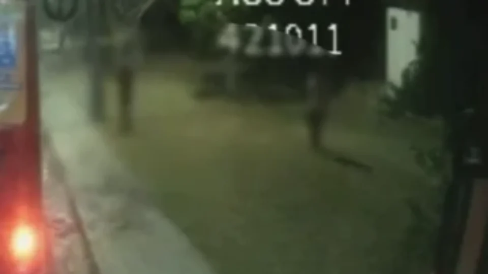 Motorista de ônibus é preso suspeito de matar colega a facadas após discussão em Manaus