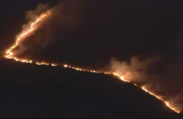 Minas já teve 82 mil hectares queimados em 2026 e mais de 5 mil inquéritos por incêndios