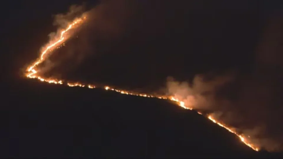 Minas já teve 82 mil hectares queimados em 2026 e mais de 5 mil inquéritos por incêndios