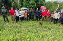 Equipes percorrem mais de 20 km e usam drones em buscas por bebê desaparecida no Acre