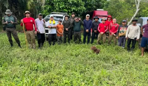 Equipes percorrem mais de 20 km e usam drones em buscas por bebê desaparecida no Acre