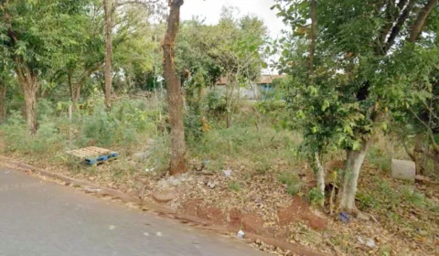 Mulher encontrada gravemente ferida em mata morre no interior de SP