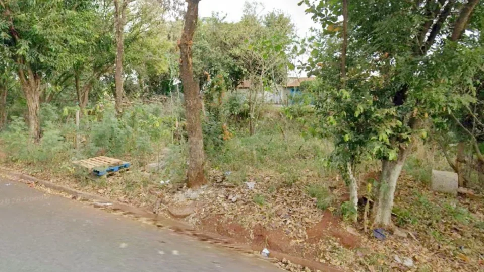Mulher encontrada gravemente ferida em mata morre no interior de SP