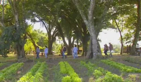 Propriedades e destinos do interior paulista reúnem experiências ligadas ao campo, gastronomia, paisagens naturais e atividades ao ar livre