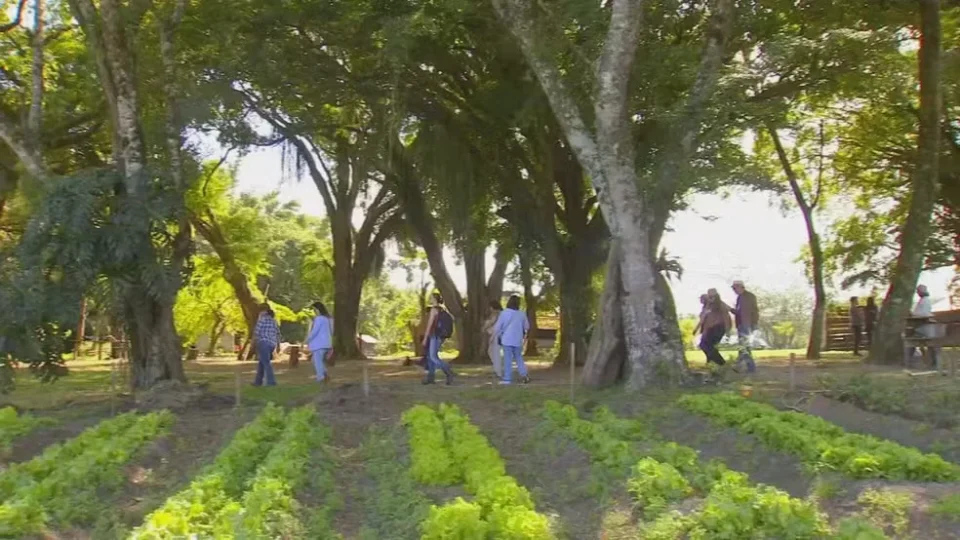 Propriedades e destinos do interior paulista reúnem experiências ligadas ao campo, gastronomia, paisagens naturais e atividades ao ar livre