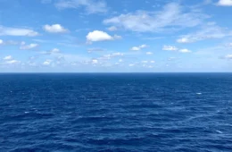 Calor recorde dos oceanos pode encarecer alimentos e afetar turismo