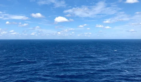 Calor recorde dos oceanos pode encarecer alimentos e afetar turismo