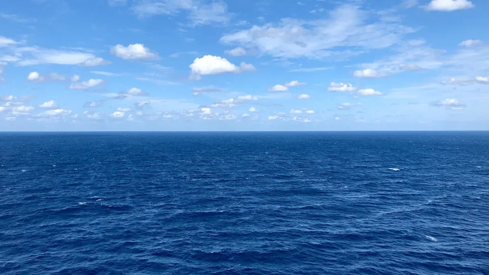 Calor recorde dos oceanos pode encarecer alimentos e afetar turismo