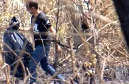 Ossada humana é encontrada após queimada em área verde de Palmas