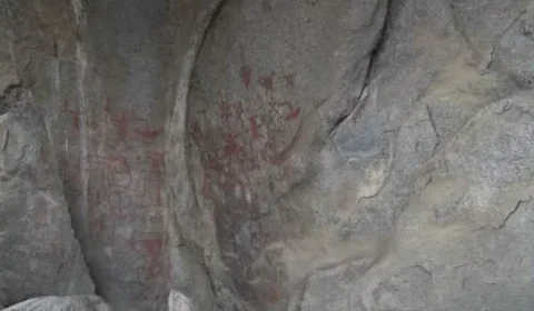 Seca em lagoa revela fósseis de animais pré-históricos e pinturas de 10 mil anos em Caruaru